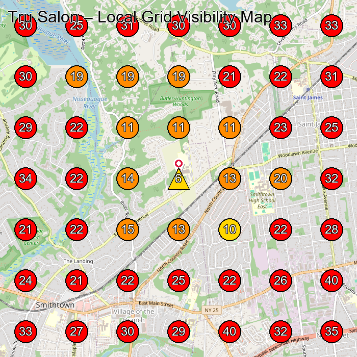Tru Salon GeoGrid visibility map for Hair Salon in Smithtown